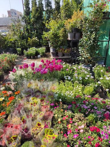 عکس نمایشگاه بهاره