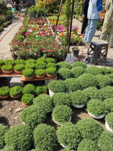 عکس نمایشگاه بهاره