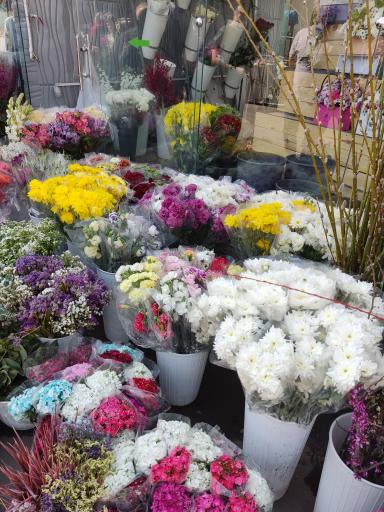 عکس نمایشگاه بهاره