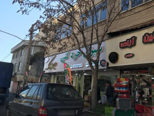 عکس سبزی خردکنی ریحانه تک