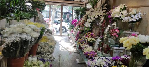 نمایشگاه گل اسپرینگ