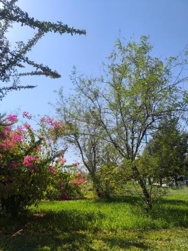 عکس پارک لردگان