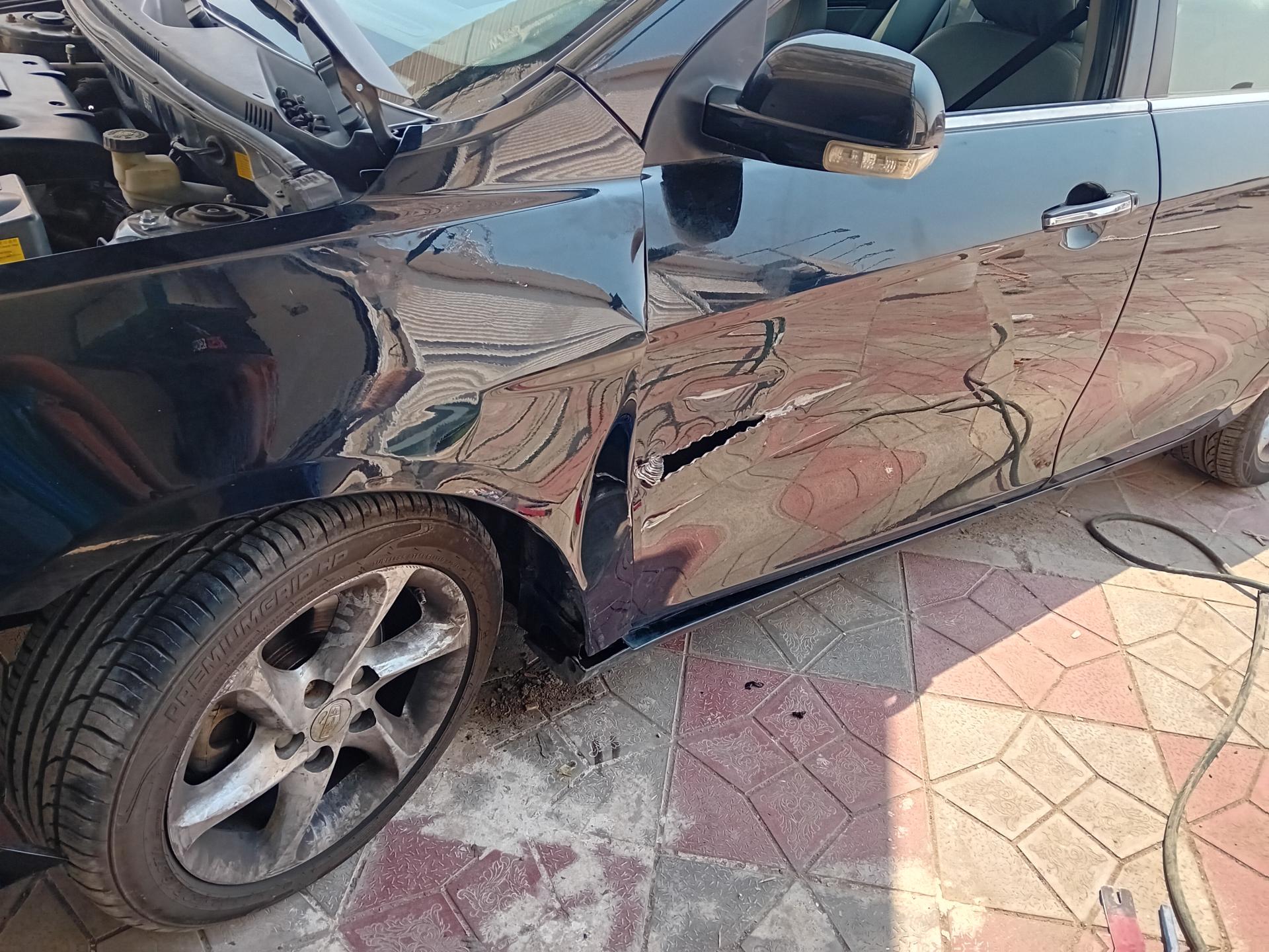 عکس صافکاری و نقاشی فاکس