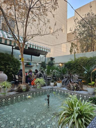 عکس رستوران دیژون