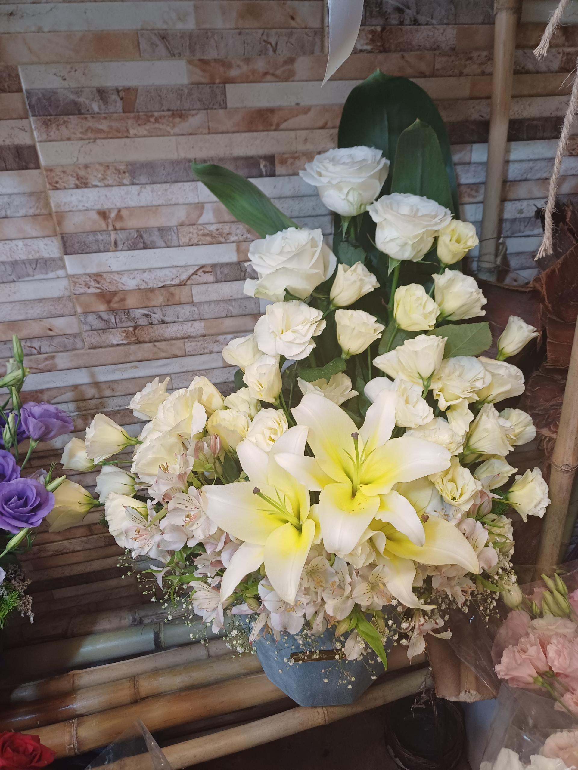 عکس گل مانوشاک