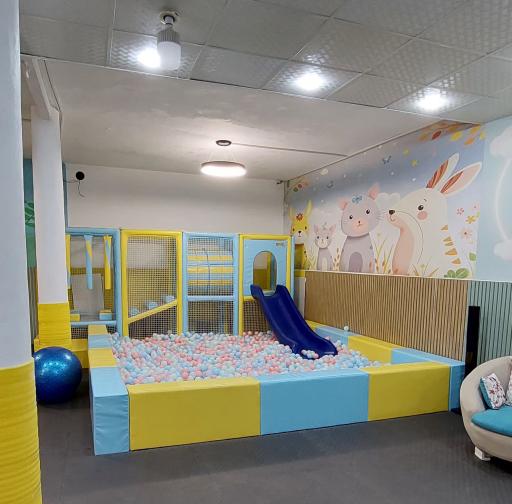 عکس خانه بازی شاهانیا