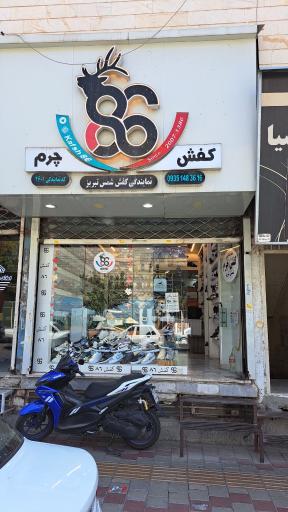 عکس کفش 86 (نمایندگی کفش شمس تبریز)