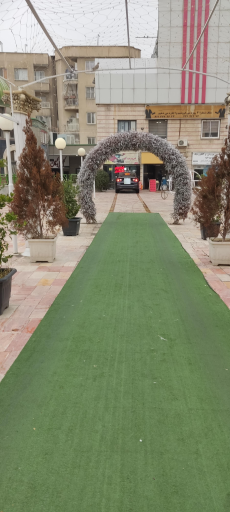 عکس تعمیرات دزدگیر و دوربین و سنسور  دنده عقب ایده آل