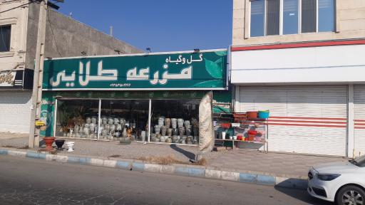 عکس نمایشگاه گل و گیاه مزرعه طلایی