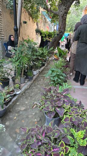 عکس کوچه قنات حصار سرخ