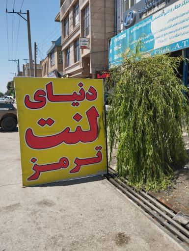 عکس دنیای لنت محسن