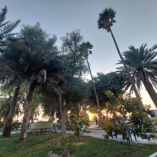 عکس پارک ولیعصر