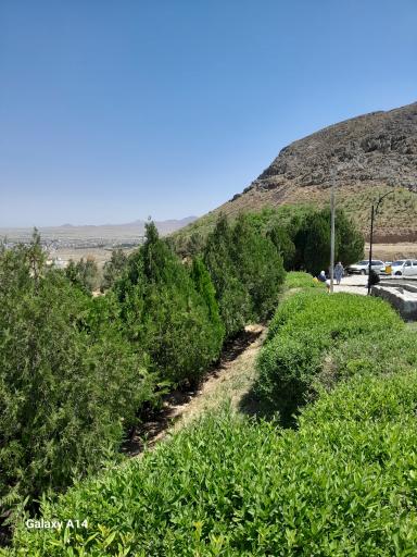 عکس فضای سبز