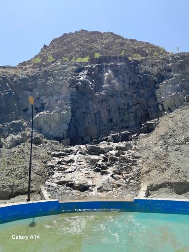 عکس فضای سبز