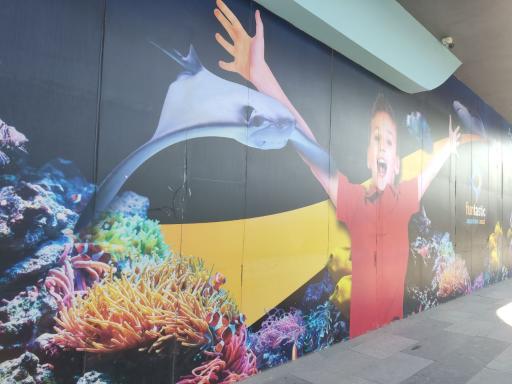 عکس فاز تجارت و گردشگری منطقه آزاد انزلی