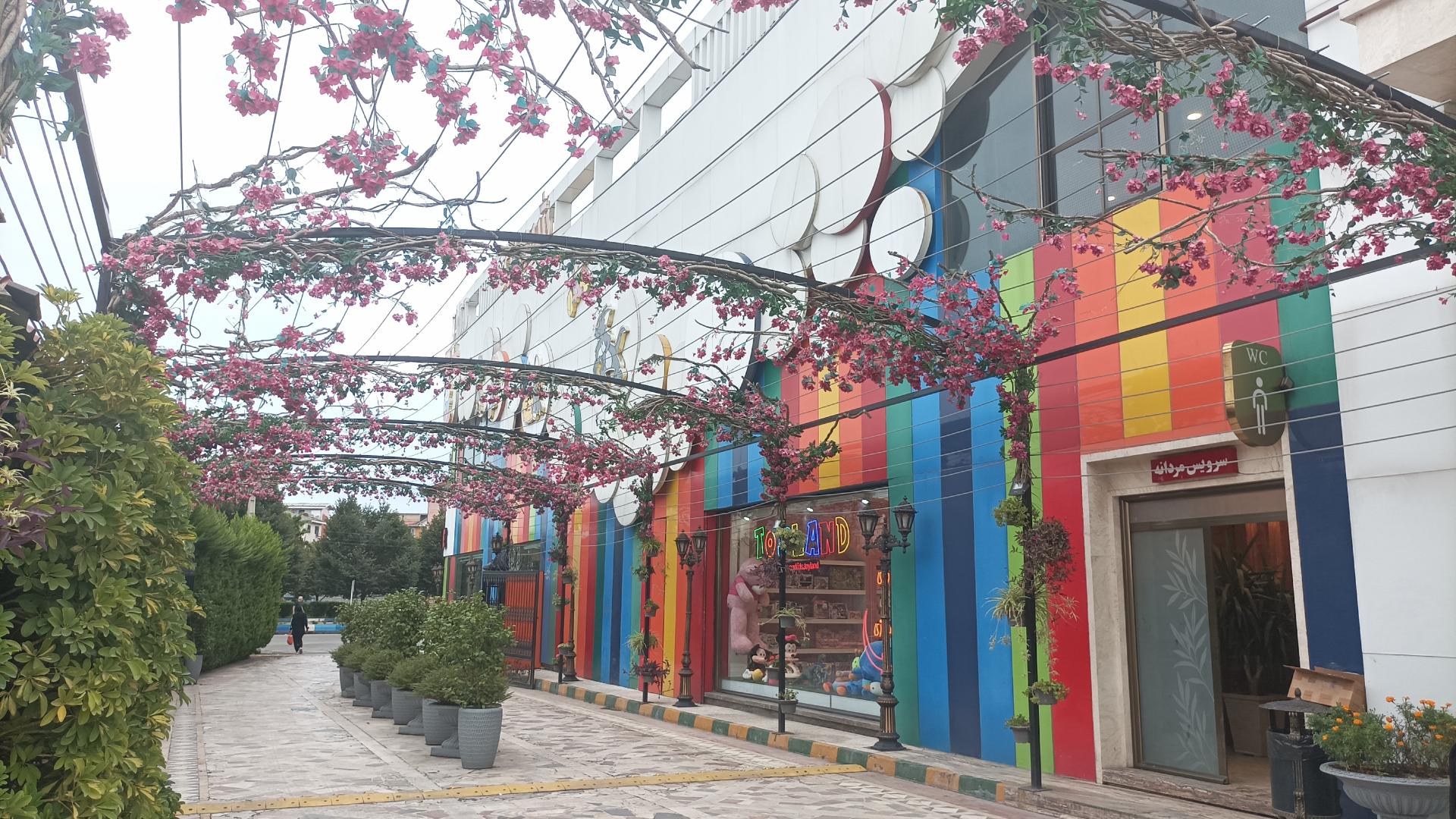 عکس فاز تجارت و گردشگری منطقه آزاد انزلی