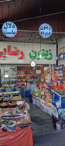 عکس زیتون رضایی