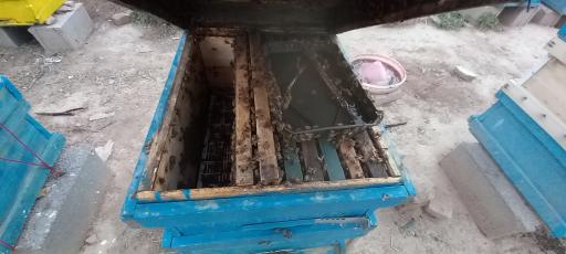 عکس زنبورستان مشهد عسل