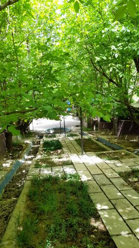 عکس کافه باغ دورود سیتی