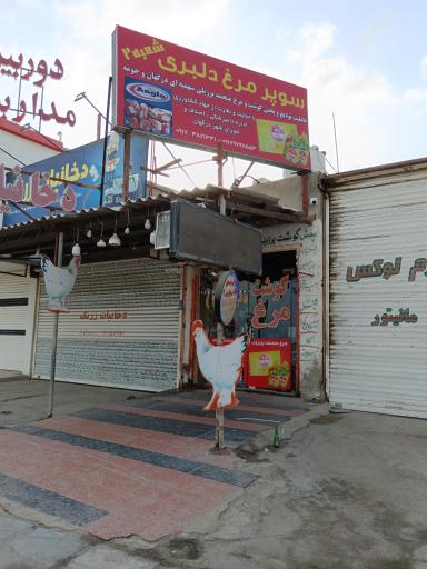 عکس فرآوردهای گوشتی دلبری شعبه ۲