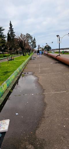 عکس قایقرانی نیلوفر آبی 