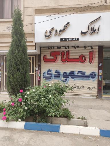 عکس املاک محمودی