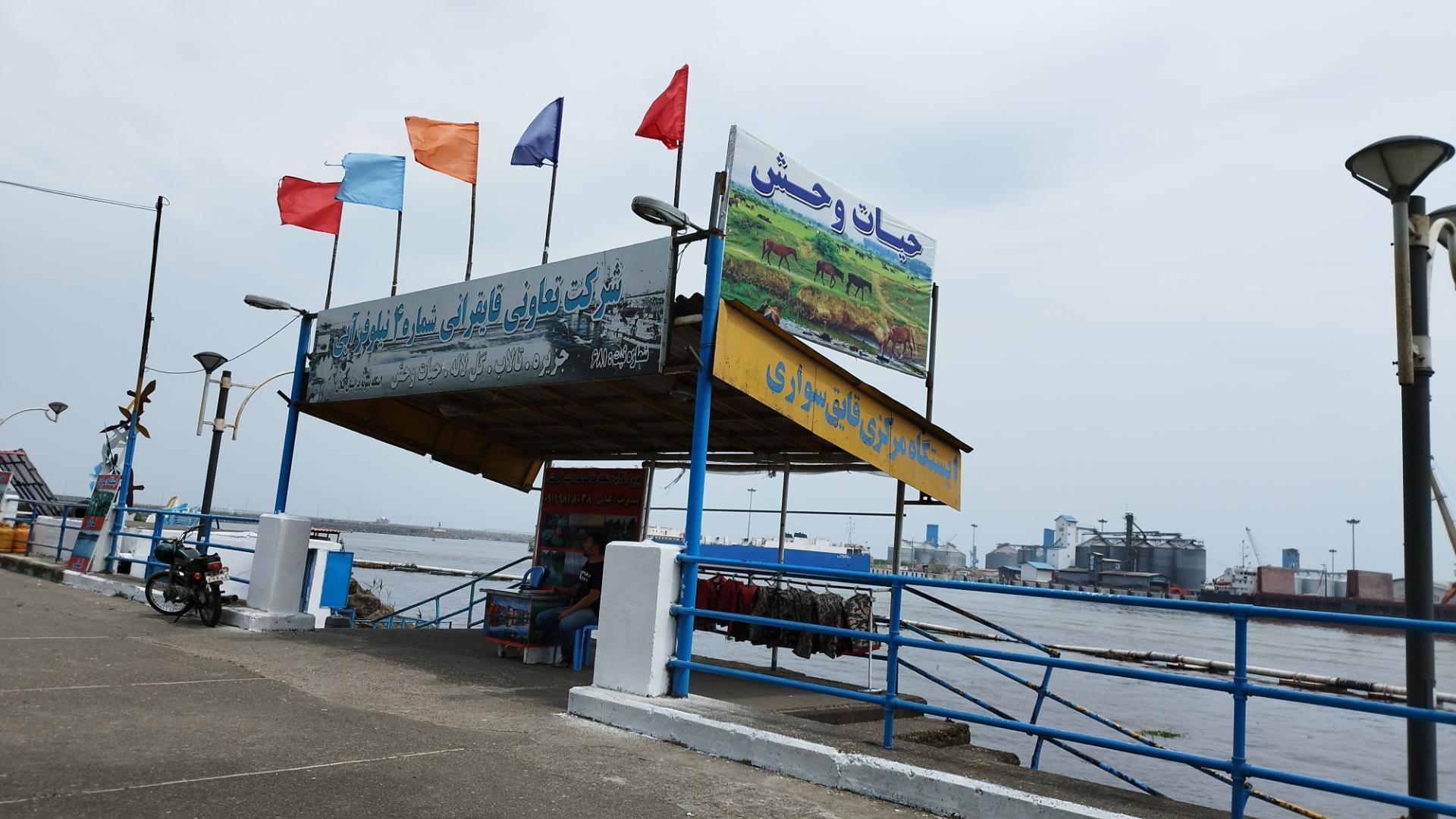 عکس قایقرانی نیلوفر آبی 