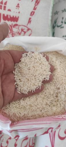 عکس برنج حافظ