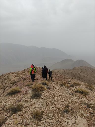 عکس بند پستون گاوی 