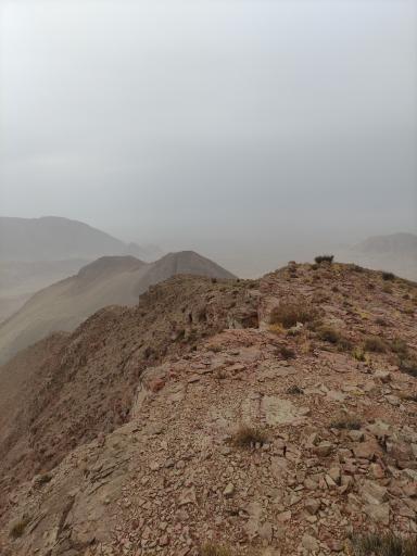 عکس بند پستون گاوی 