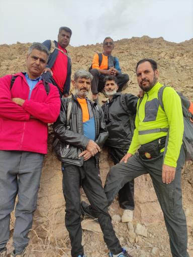 عکس بند پستون گاوی 