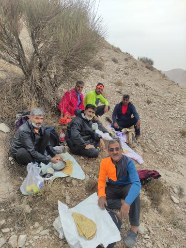 عکس بند پستون گاوی 