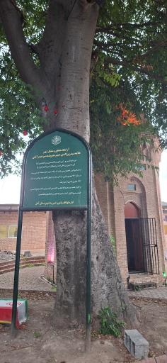 عکس بقعه علامه میر حیدر آملی و سه سید