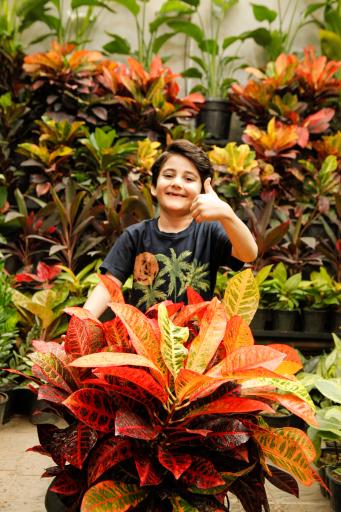 عکس باربد گاردن