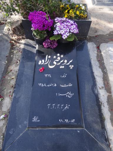 عکس مزارپرویزفنی زاده