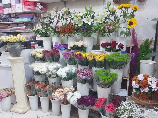 عکس گلفروشی پارادایس