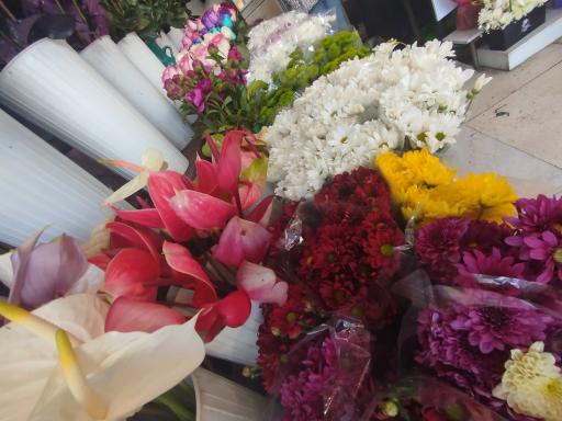 عکس گلستان بهار