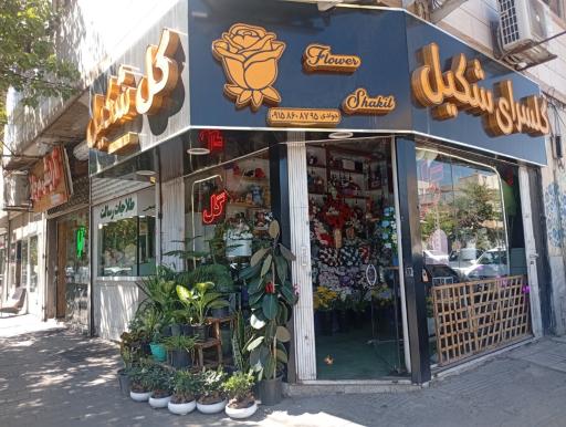 عکس گلسرای شکیل