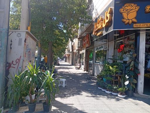 عکس گلسرای شکیل