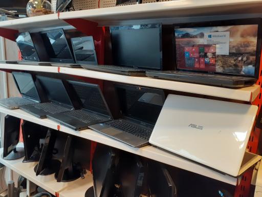 عکس نارسیس رایانه