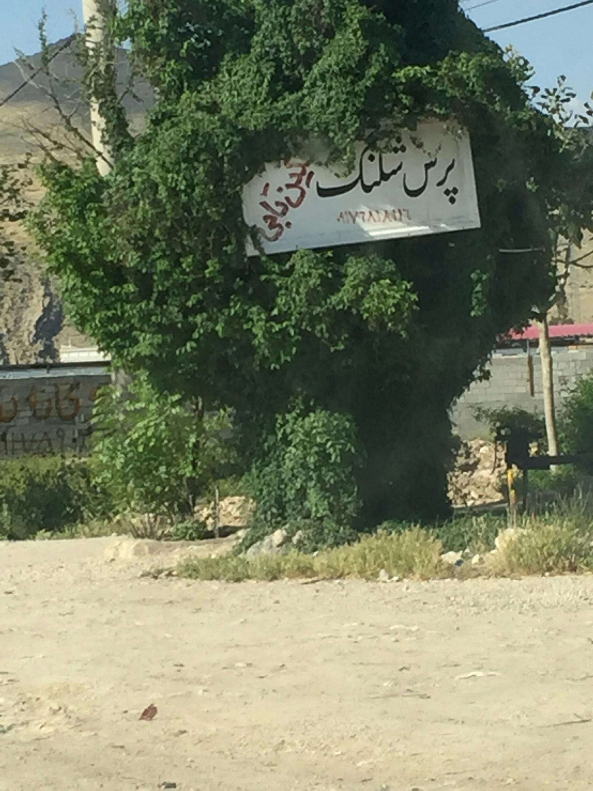 عکس پرس شیلنگ نگین تاجی