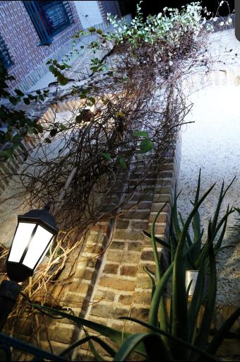 عکس گالری نیاک