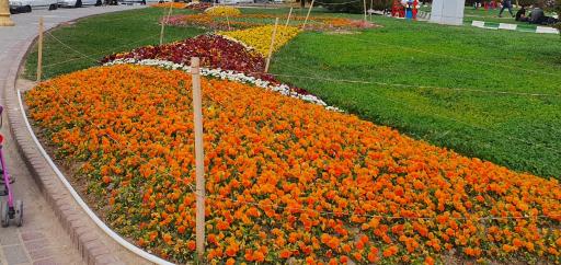 عکس میدان 17 شهریور