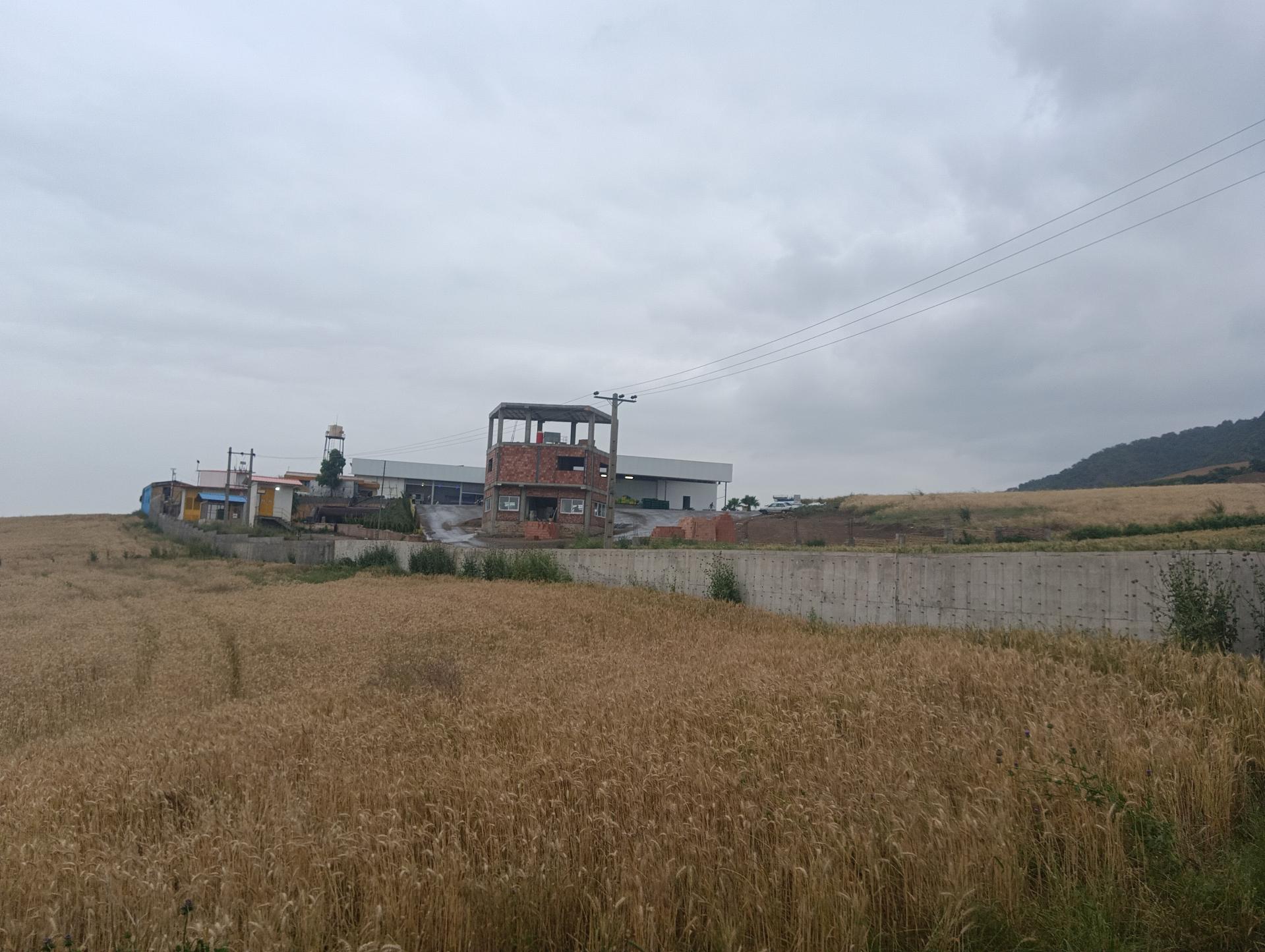 عکس کشتارگاه مرغ هدیه صفا زرین چیلای