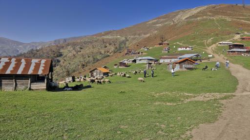 عکس اولسبلنگاه