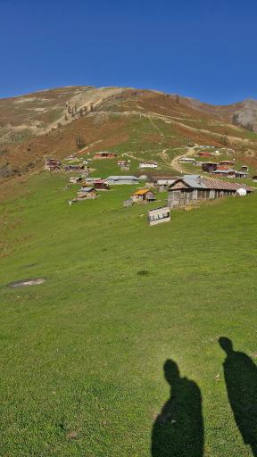 عکس اولسبلنگاه