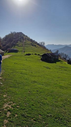 عکس اولسبلنگاه