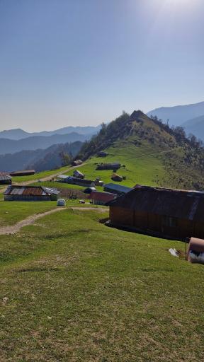 عکس اولسبلنگاه