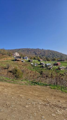 عکس اولسبلنگاه