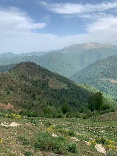 عکس اولسبلنگاه